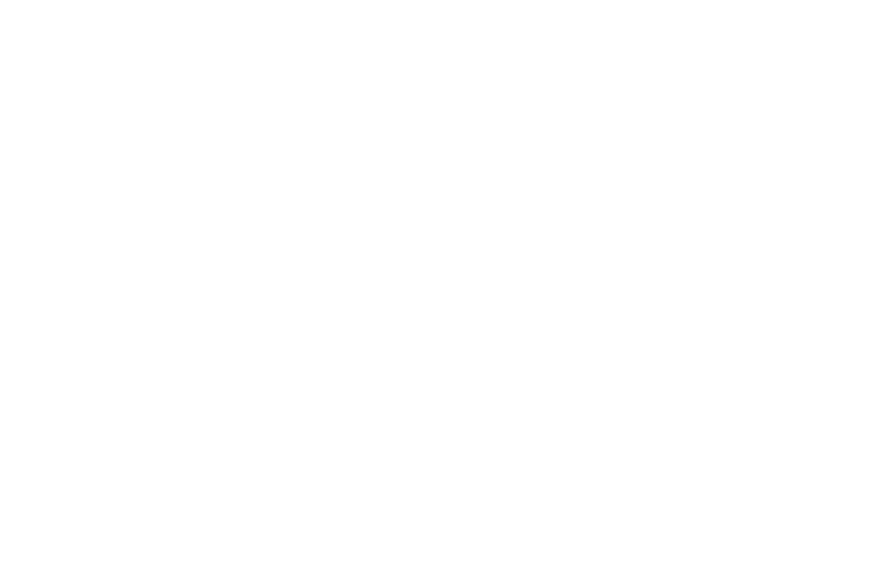 The Cigar Market