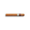 Villiger 1492 Corona (12)