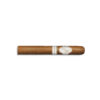 Davidoff Signature 2000 Bundle (25)