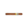 Cohiba Short Humidor Year of the Horse 2026 (88)
