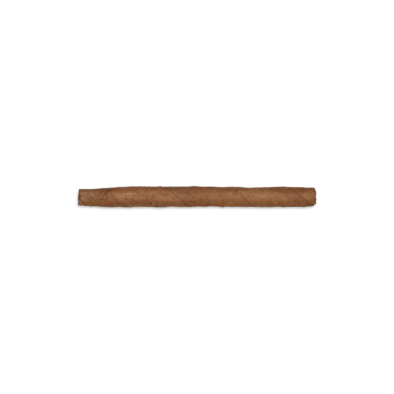 Punch Mini 20 (5x20)