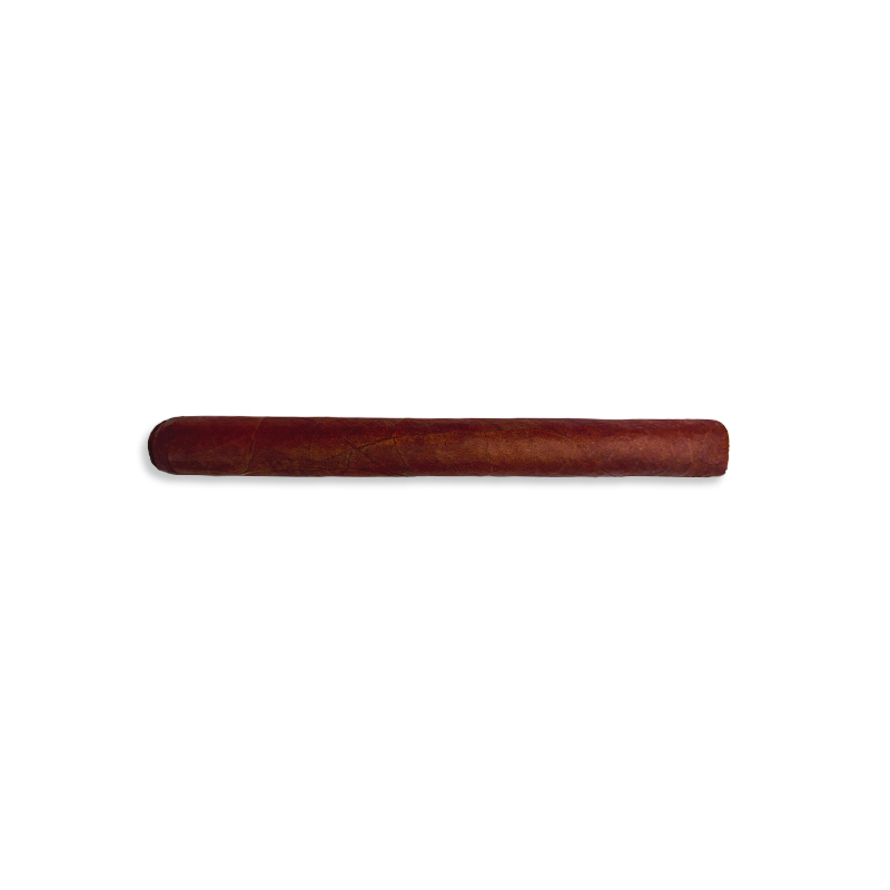Puriscal Vega Churchill (20)