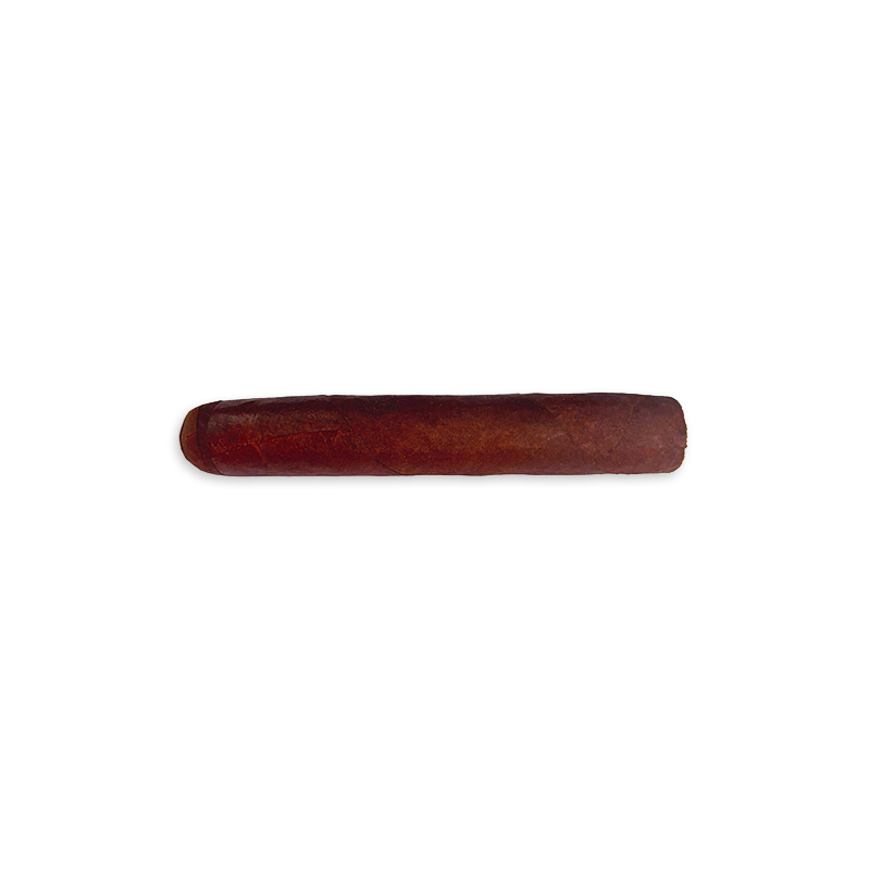 Puriscal Vega Robusto (20)