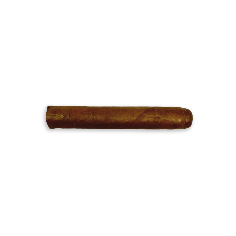 Alternative view of Bespoke Edicion Especial Robusto 50 (20)